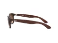 Ray-Ban Andy Solglasögon RB 4202 6073/13
