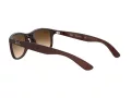 Ray-Ban Andy Solglasögon RB 4202 6073/13