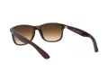 Ray-Ban Andy Solglasögon RB 4202 6073/13
