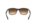 Ray-Ban Andy Solglasögon RB 4202 6073/13