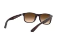 Ray-Ban Andy Solglasögon RB 4202 6073/13