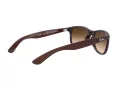 Ray-Ban Andy Solglasögon RB 4202 6073/13