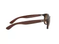 Ray-Ban Andy Solglasögon RB 4202 6073/13