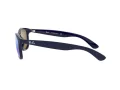 Ray-Ban Andy Solglasögon RB 4202 6153/55