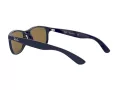 Ray-Ban Andy Solglasögon RB 4202 6153/55