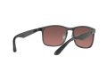 Ray-Ban Solglasögon RB 4264 876/6B