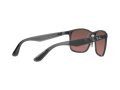 Ray-Ban Solglasögon RB 4264 876/6B