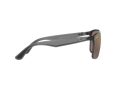 Ray-Ban Solglasögon RB 4264 876/6B