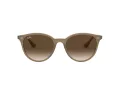 Ray-Ban Solglasögon RB 4305 6166/13