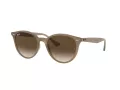 Ray-Ban Solglasögon RB 4305 6166/13