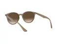 Ray-Ban Solglasögon RB 4305 6166/13
