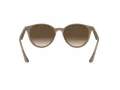 Ray-Ban Solglasögon RB 4305 6166/13