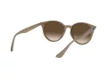 Ray-Ban Solglasögon RB 4305 6166/13