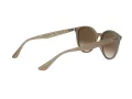 Ray-Ban Solglasögon RB 4305 6166/13