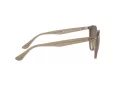 Ray-Ban Solglasögon RB 4305 6166/13