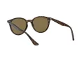 Ray-Ban Solglasögon RB 4305 710/73