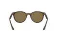 Ray-Ban Solglasögon RB 4305 710/73