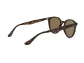 Ray-Ban Solglasögon RB 4305 710/73