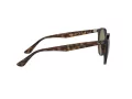 Ray-Ban Solglasögon RB 4305 710/73