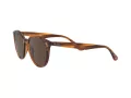 Ray-Ban Solglasögon RB 4305 820/73