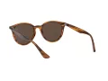 Ray-Ban Solglasögon RB 4305 820/73
