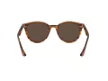 Ray-Ban Solglasögon RB 4305 820/73