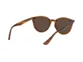 Ray-Ban Solglasögon RB 4305 820/73