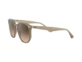 Ray-Ban Solglasögon RB 4306 616613