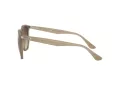 Ray-Ban Solglasögon RB 4306 616613