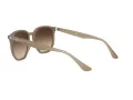 Ray-Ban Solglasögon RB 4306 616613