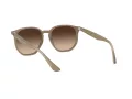 Ray-Ban Solglasögon RB 4306 616613
