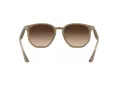 Ray-Ban Solglasögon RB 4306 616613