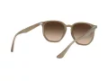 Ray-Ban Solglasögon RB 4306 616613