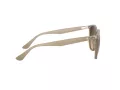 Ray-Ban Solglasögon RB 4306 616613