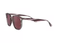 Ray-Ban Solglasögon RB 4306 6431/75