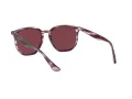 Ray-Ban Solglasögon RB 4306 6431/75