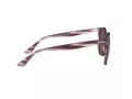 Ray-Ban Solglasögon RB 4306 6431/75