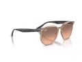 Ray-Ban Solglasögon RB 4306 678846