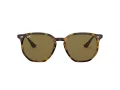 Ray-Ban Solglasögon RB 4306 710/73