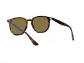 Ray-Ban Solglasögon RB 4306 710/73