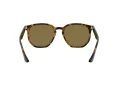 Ray-Ban Solglasögon RB 4306 710/73