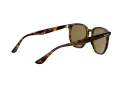 Ray-Ban Solglasögon RB 4306 710/73