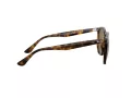 Ray-Ban Solglasögon RB 4306 710/73