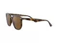 Ray-Ban Solglasögon RB 4306 710/83