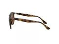 Ray-Ban Solglasögon RB 4306 710/83