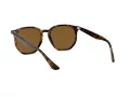 Ray-Ban Solglasögon RB 4306 710/83