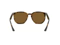 Ray-Ban Solglasögon RB 4306 710/83