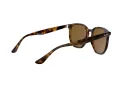 Ray-Ban Solglasögon RB 4306 710/83