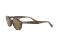 Ray-Ban Solglasögon RB 4315 710/73