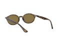 Ray-Ban Solglasögon RB 4315 710/73